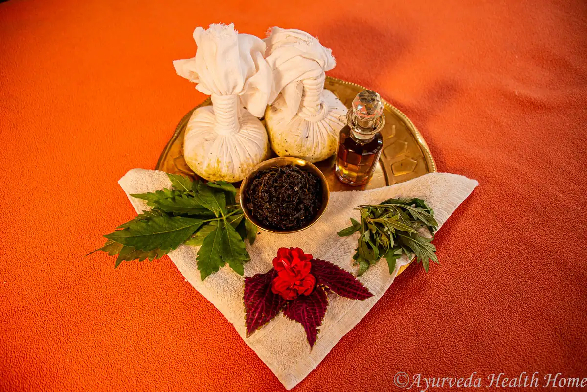 7 Days 7 Nights Allied Panchakarma Package B