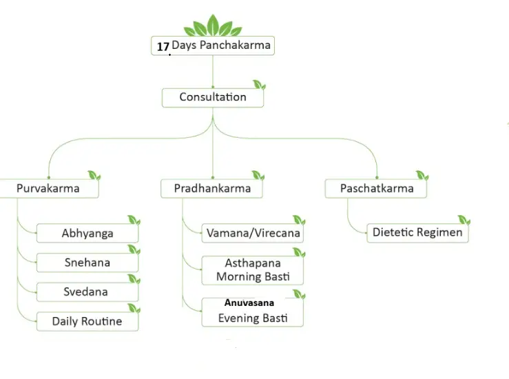 Programme Overview