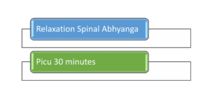 Spinal Program