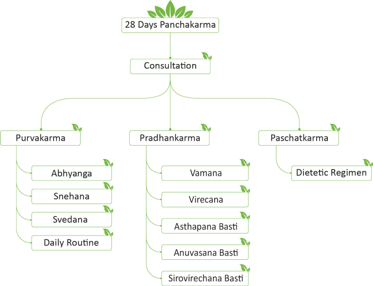 Days Panchakarma Package Detox And Rejuvenation Retreat