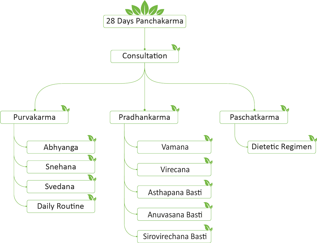 28 Days Ayurveda Panchakarma Package