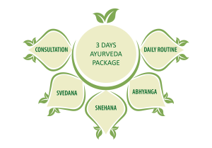 3 Days Ayurveda Recreational Package
