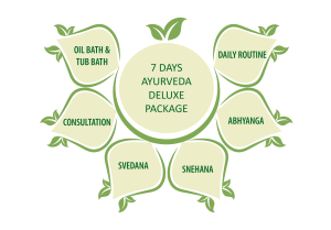 7 Days Ayurveda Luxury Wellness Program